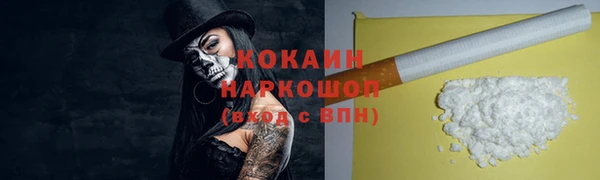 сатива Белокуриха
