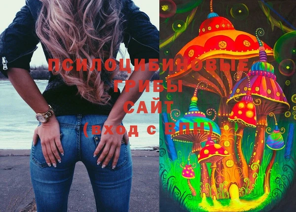 мяу мяу мука Беломорск