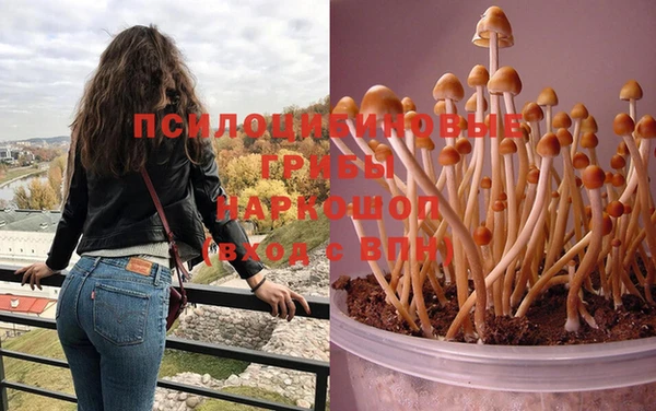 тгк Белоозёрский