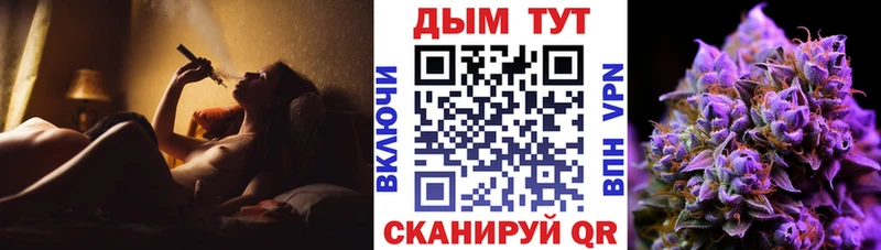блэк спрут маркетплейс наркота Короча Бошки Шишки планчик